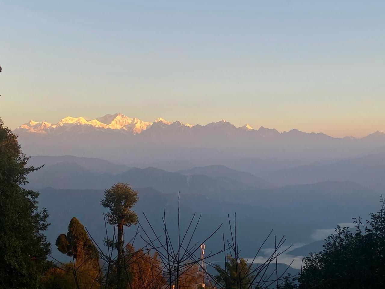 Forest Lodge - 80 Mts From Mall Road Darjeeling  Exterior photo
